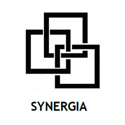 logo-synergia-bn
